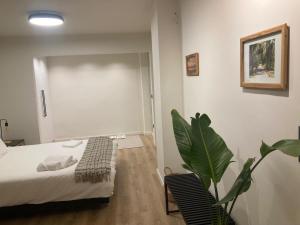 アテネにあるCOSY STUDIO MAISONETTE in ATHENSのベッドと鉢植えのある寝室