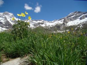 Příroda nedaleko apartmánu