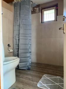 a bathroom with a toilet and a shower at Lilen's Homestay-Entire Apartment with Private Bathroom and Kitchen in Kathmandu +15 photos