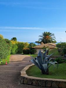 a plant in the grass next to a road at ORO 3-Piscine en résidence- Tennis-Wifi in Conca