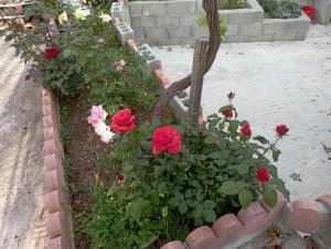 a flower garden with red roses in a brick fence at Rose Garden Cottage in Katochori +20 photos