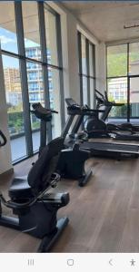 Fitness centrum a/nebo fitness zařízení v ubytování Green Side Apart Hotel gonio adjara georgia