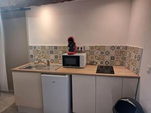 Η κουζίνα ή μικρή κουζίνα στο studio rez de chaussée