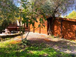 Gallery image of Ar da Beira in Belmonte +42 photos