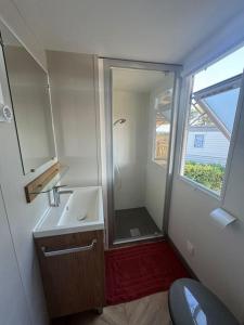 a small bathroom with a sink and a mirror at Mobile Home 450 4-6 pers Camping Siblu Le Lac des Rêves in Lattes