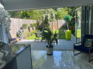 a patio with a potted plant on a glass table at Beautiful 3 Bedroom Home in St Albans in Saint Albans