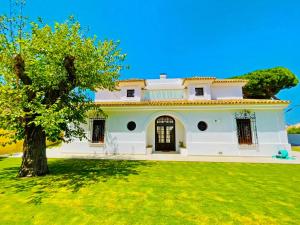 Vonkajšia záhrada v ubytovaní Villa Velero - Ole Solutions