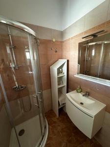 Kúpeľňa v ubytovaní Villa Mičić