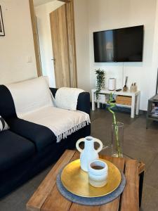 TV a/nebo společenská místnost v ubytování 4 valleys Modern appartment with free parking