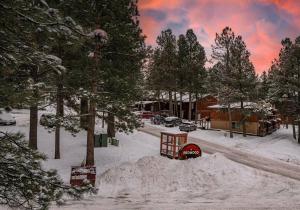 a pile of snow on a street with trees at Skyes Hideaway Walk to Lifts in Angel Fire