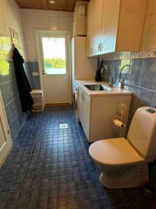 a small kitchen with a toilet and a sink at Villa Kesälä in Ylöjärvi +12 photos