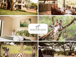 a collage of pictures of a house guest house with a giraffe at Idube Guest House in Winterton