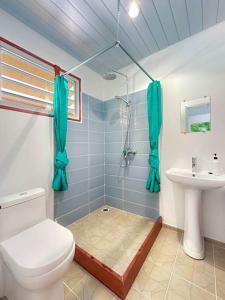 a bathroom with a toilet and a sink at Free canoës King Bed - Fare Vaihere in Moorea