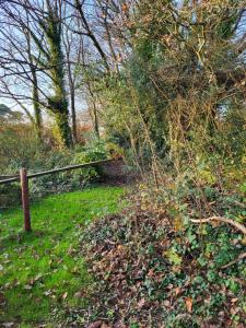 A garden outside Beech lodge
