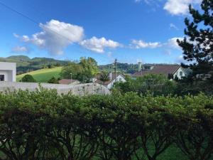 a view of a town with houses and trees at Chalet da Eirinha in Furnas