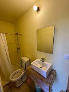 a bathroom with a sink and a toilet and a mirror at Hotel Nativo in Santiago