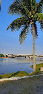 a palm tree sitting next to a river with a bridge at Paraíso da Tia Ana in Saquarema