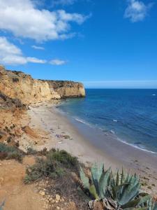 Příroda nedaleko prázdninového domu