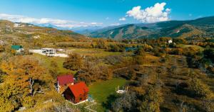 NikortsmindaSakudela Cottage的山地房子的空中景色