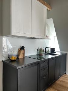 Kuchyň nebo kuchyňský kout v ubytování ELA - Elegant Apartment + 11 fotografií