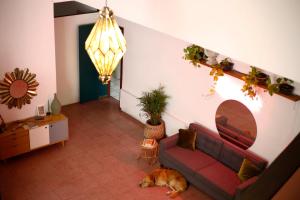 una sala de estar con sofá y un perro tirado en el suelo en Casa Sabina, en Guadalajara