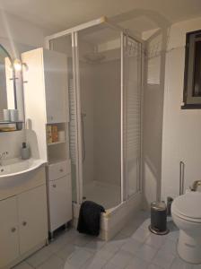 a bathroom with a shower with a toilet and a sink at Studio avec chambre Camargue in Arles +22 photos