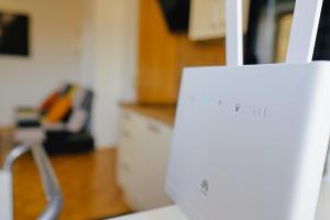 a close up of a white appliance in a kitchen at TAMLiving Mürztal Neu Küche WIFI TV in Unterlichtenegg +9 photos