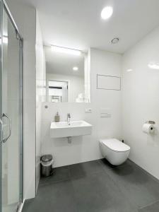 プラハにあるVila Viniceの洗面台とトイレを備えた白いバスルーム