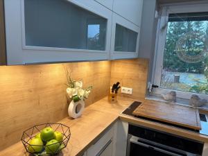 a kitchen with a bowl of apples on a counter at Komfortables Ferienhaus in Lichtenberg bei Hof im Frankenwald 400m vom See nahe Bad Steben in Lichtenberg +18 photos
