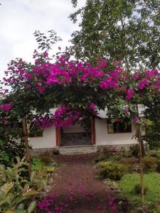 Ein Garten an der Unterkunft Rio Quijos EcoLodge