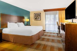 Postel nebo postele na pokoji v ubytování Best Western Date Tree Hotel + 32 fotografií