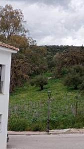 別荘の近くで見られる自然の景観