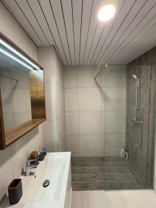 un baño con ducha y lavabo en East Gate Luxury Apartment 2, en Skopje 31 fotos más