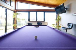 a pool table in a room with a tv at The Wetlands in Warrnambool