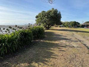 莫土伊卡的住宿－The Bach in Motueka，相簿中的一張相片