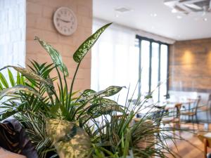 Fotografie z fotogalerie ubytování Super Hotel Kochi v destinaci Koči