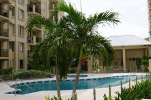 a palm tree in front of a swimming pool at El descanso que mereces,es aquí. in Girardot +4 photos