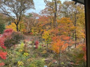 Zahrada ubytování 那須リゾートMOMIJI room stay