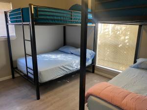 sypialnia z dwoma łóżkami piętrowymi i oknem w obiekcie Haystack Hostel w mieście Houston