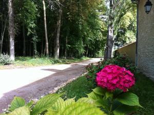 Zahrada ubytování Manoir De Montflambert