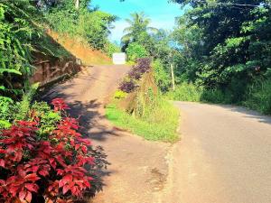 Fotografie z fotogalerie ubytování Kobbekaduwa Bungalow v destinaci Kandy