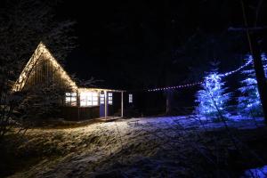 een kerstboom voor een huis met lichten bij Casuta dintre brazi in Râșca