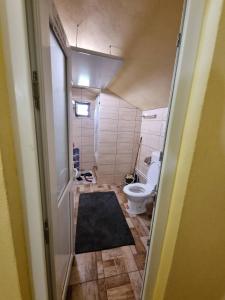 a small bathroom with a toilet and a shower at Vila SCARLET Pielesti Dolj in Cîmpeni