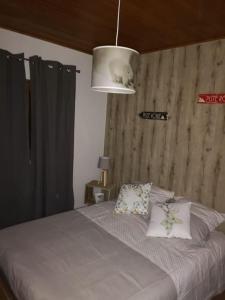 a bedroom with a bed with a light above it at Maison de montagne FONT ROMEU in Font Romeu Odeillo Via +9 photos