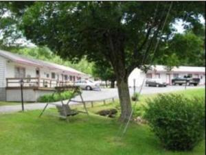 a tree in a yard next to a building at Four Seasons Motel in Catskill