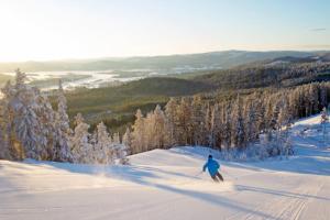 Bergsgården Lodge Järvsö - Ski In Ski Out med bastu invid Järvsöbacken - OBS!!! BYTESDAGAR ÄR ENDAST TORS O SÖND OBS!!! בחורף