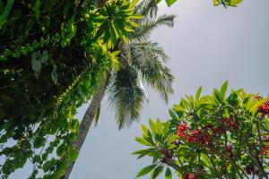 Fotografie z fotogalerie ubytování The Confidential Mandalika v destinaci Kuta Lombok