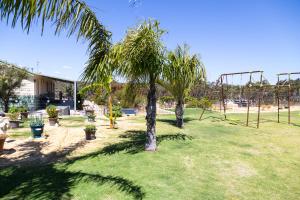 a palm tree in the middle of a grassy area at The Heights Bed & Breakfast in Jurien Bay
