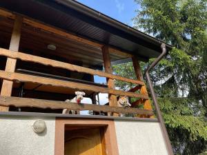 Balcone o terrazza di Vikendica Boki i Maki