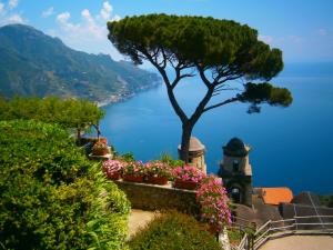 a tree on a hill with a view of the ocean at Villa En Rose in Ravello